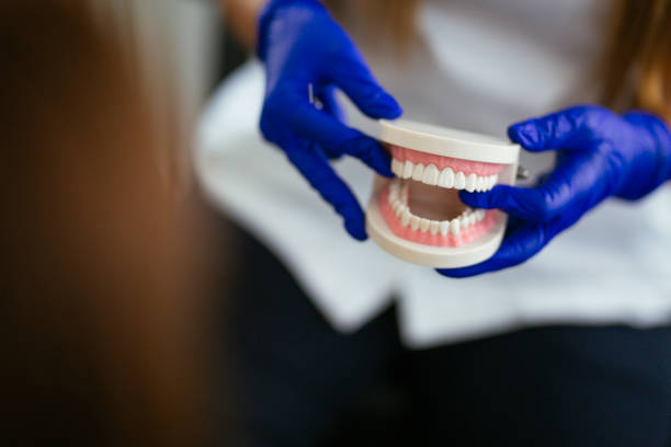Middleport, OH Holistic Dental Care Services Company